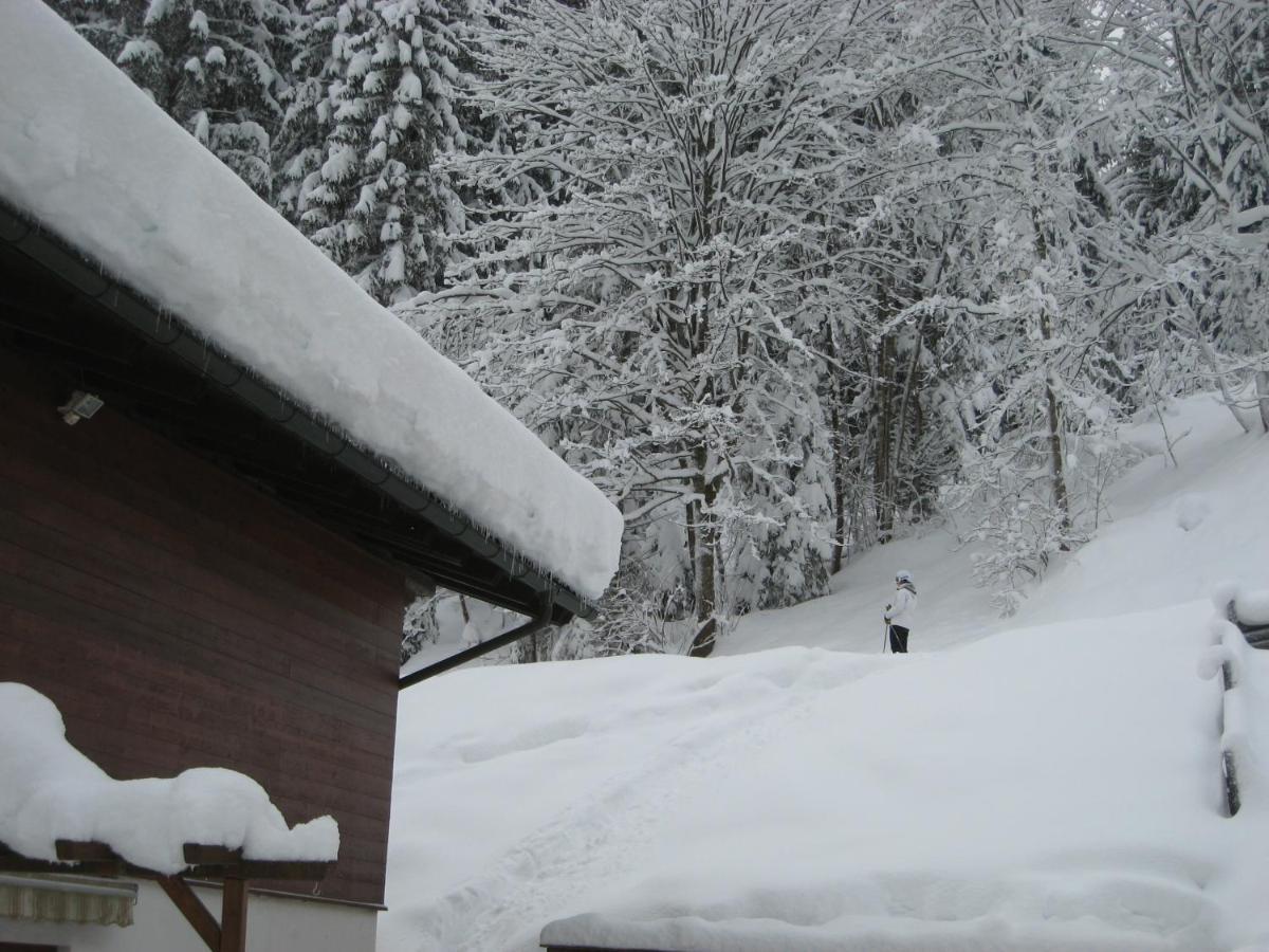Ski-In Ski-Out Chalet Kriekels - By Alpen Apartments Zell am See Kültér fotó